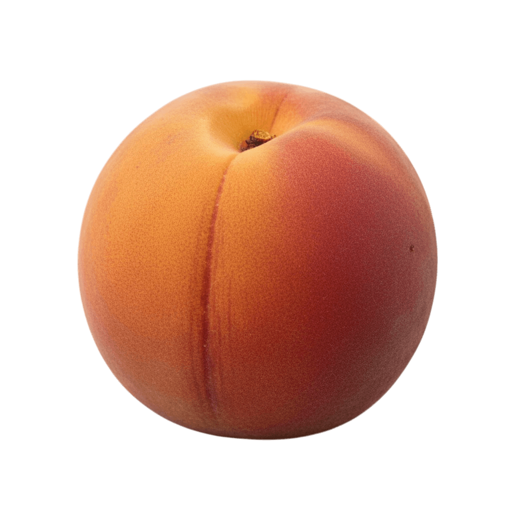 Apricot